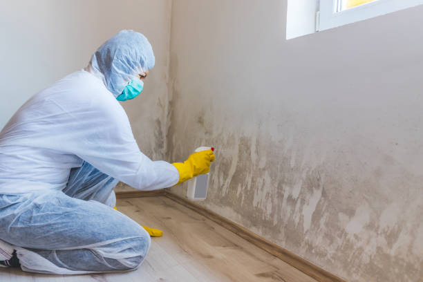 Mold Remediation specialist working in Shepherdsville